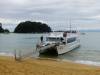 104 - 20150130 Abel Tasman