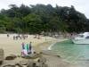 374 - 20150130 Abel Tasman