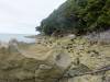 376 - 20150130 Abel Tasman