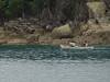 472 - 20150130 Abel Tasman