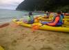 500 - 20150130 Abel Tasman Kayak Glass
