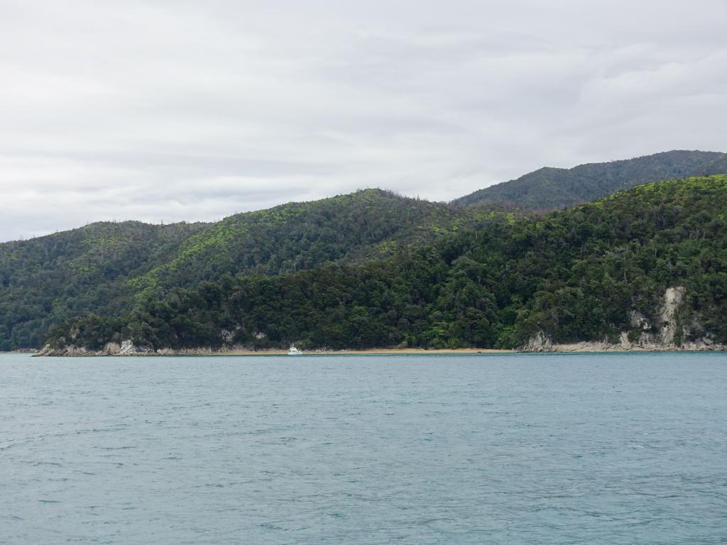 136 - 20150130 Abel Tasman