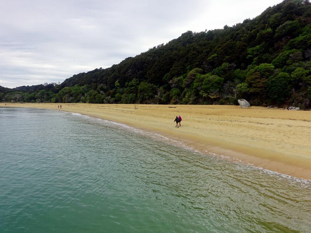 150 - 20150130 Abel Tasman