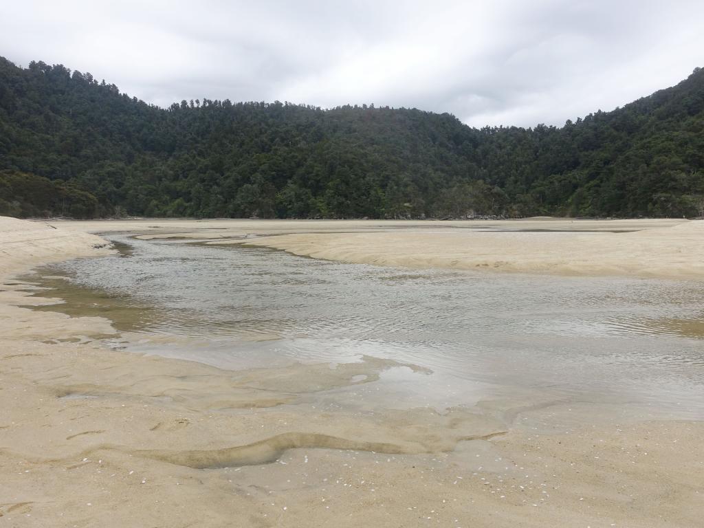 299 - 20150130 Abel Tasman