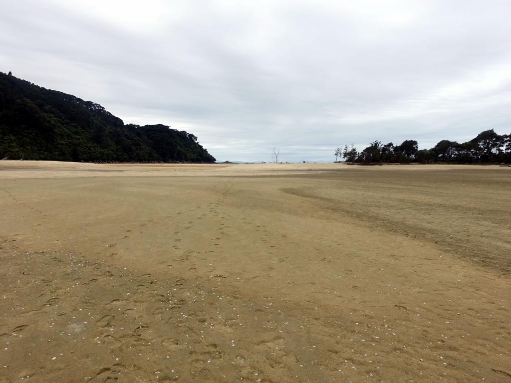 302 - 20150130 Abel Tasman