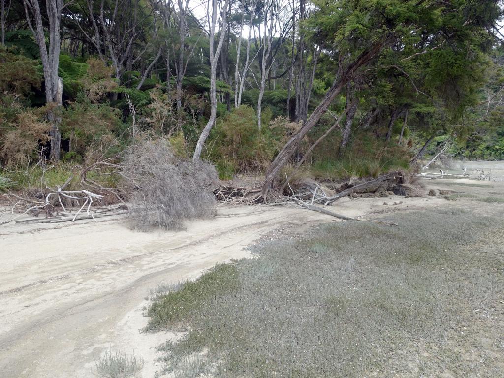 306 - 20150130 Abel Tasman