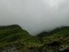 132 - 20150202 Fox Glacier