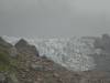 142 - 20150202 Fox Glacier