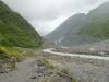 143 - 20150202 Fox Glacier