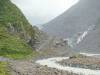 145 - 20150202 Fox Glacier