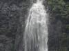 151 - 20150202 Fox Glacier