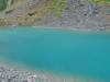 158 - 20150202 Fox Glacier