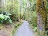 201 - 20150202 Fox Glacier