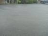 259 - 20150202 Fox Glacier
