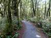 160 - 20150203 Fox Glacier-Queenstown