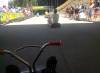211 - 20150208 Queenstown Day1 Luge