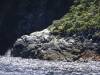 238 - 20150210 Doubtful Sound