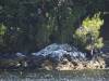 243 - 20150210 Doubtful Sound