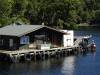 247 - 20150210 Doubtful Sound