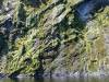 279 - 20150210 Doubtful Sound