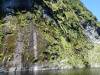 281 - 20150210 Doubtful Sound