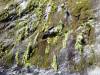 284 - 20150210 Doubtful Sound