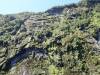 292 - 20150210 Doubtful Sound