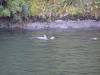 306 - 20150210 Doubtful Sound