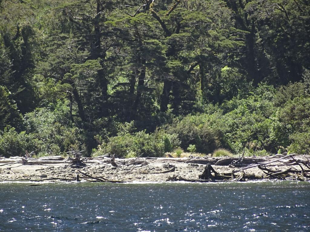 237 - 20150210 Doubtful Sound