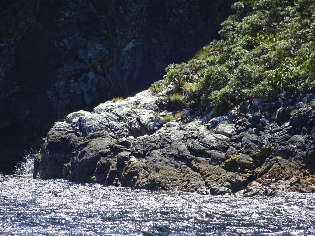 238 - 20150210 Doubtful Sound