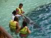 303 - 20150526 Cozumel Dolphinaris