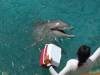 304 - 20150526 Cozumel Dolphinaris