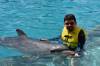 328 - 20150526 Cozumel Dolphinaris