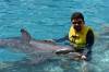 329 - 20150526 Cozumel Dolphinaris