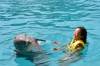 348 - 20150526 Cozumel Dolphinaris