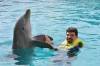 349 - 20150526 Cozumel Dolphinaris