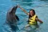 360 - 20150526 Cozumel Dolphinaris