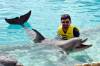 373 - 20150526 Cozumel Dolphinaris