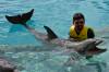 374 - 20150526 Cozumel Dolphinaris