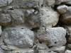 447 - 2015029 Chichen Itza