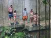 467 - 2015029 Chichen Itza