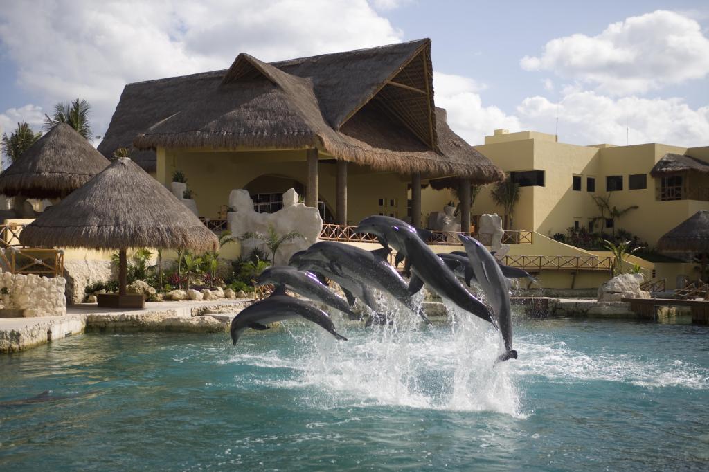 312 - 20150526 Cozumel Dolphinaris