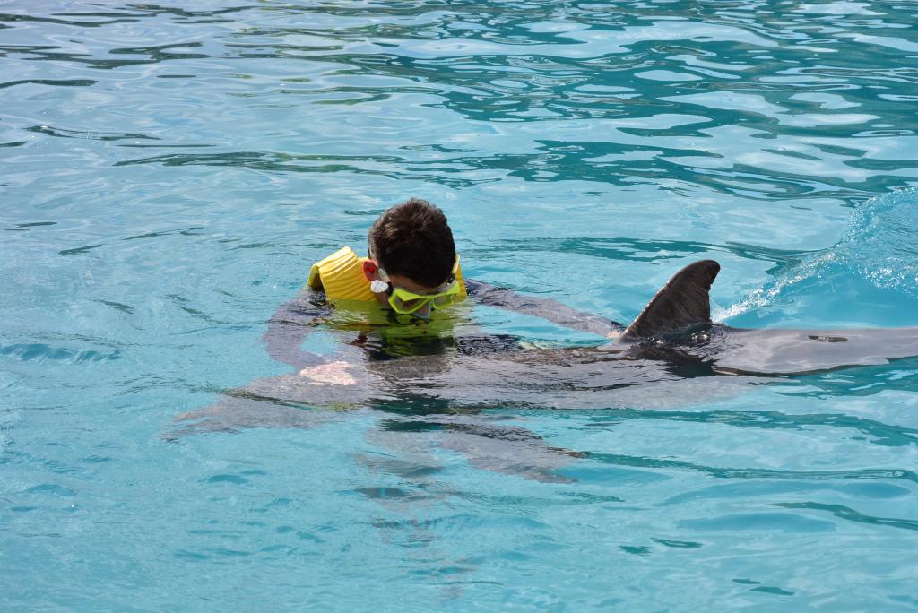 330 - 20150526 Cozumel Dolphinaris