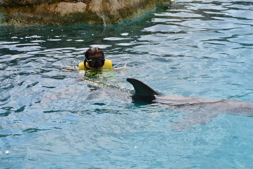 332 - 20150526 Cozumel Dolphinaris