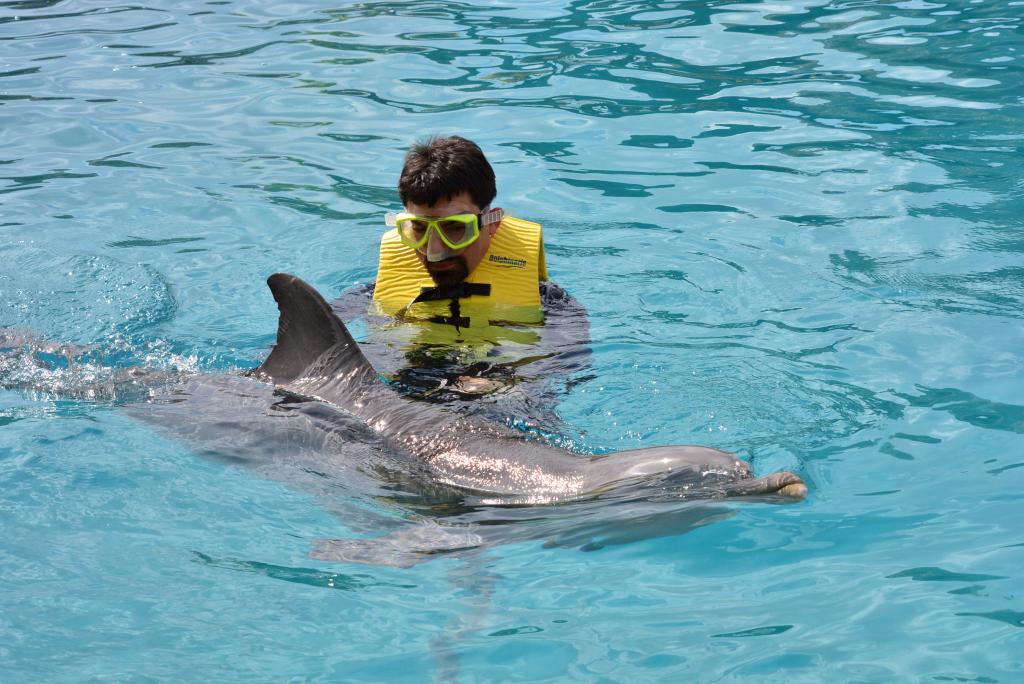 333 - 20150526 Cozumel Dolphinaris