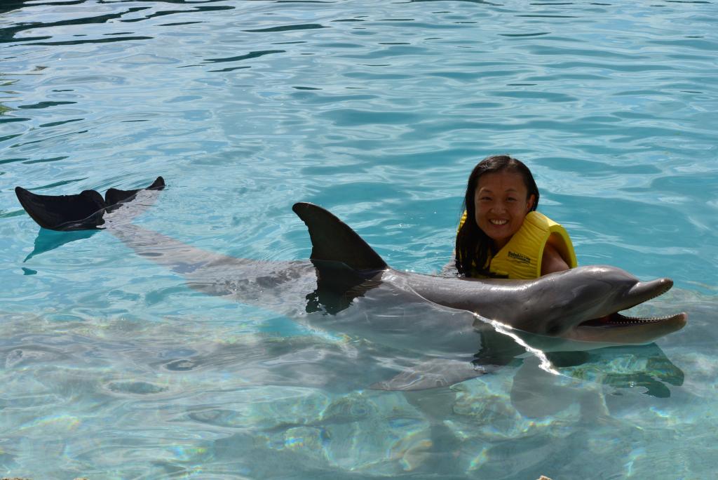 376 - 20150526 Cozumel Dolphinaris