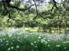 446 - 20150610 Day09 Kyoto