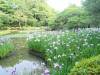 449 - 20150610 Day09 Kyoto