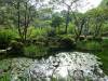 475 - 20150610 Day09 Kyoto