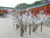 508 - 20150610 Day09 Kyoto